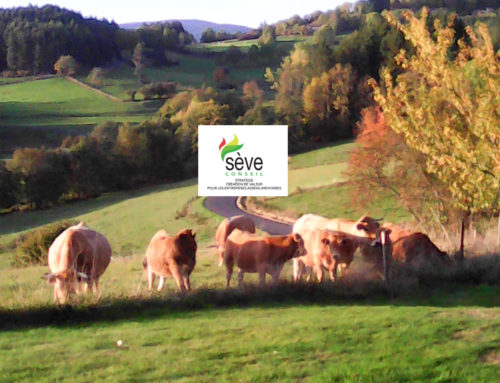 2026 : une année pleine de vitalité !